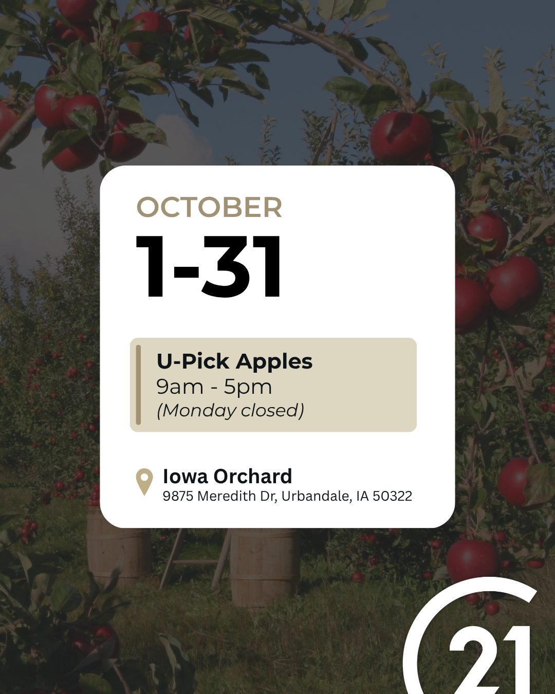 U-Pick Apples